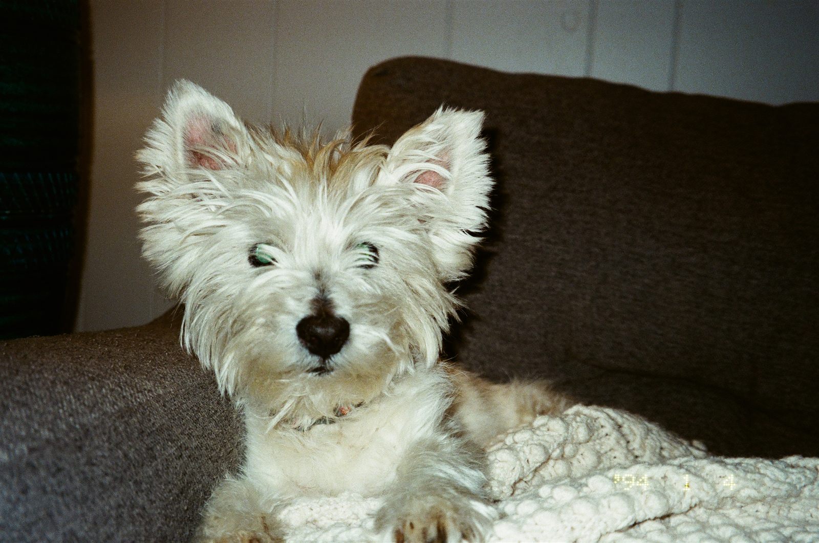 Film photo